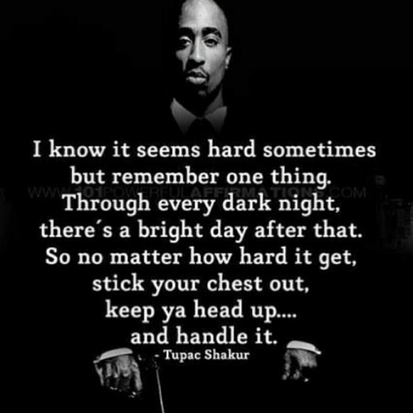 Meet your Posher, Rocky - Picture 3 of 3